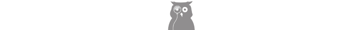 Small Owl (1)